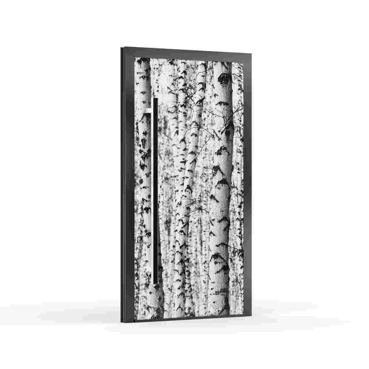 Panneau de porte  Glass Line GL-53