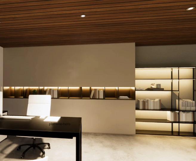 Pose de cloisons, faux plafonds et finitions en plâtre à Lausanne, Genève et Fribourg