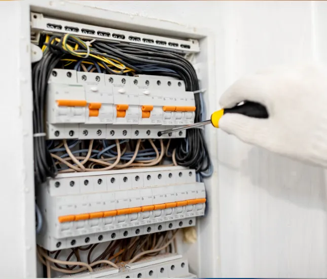Mise aux normes électriques à Pully